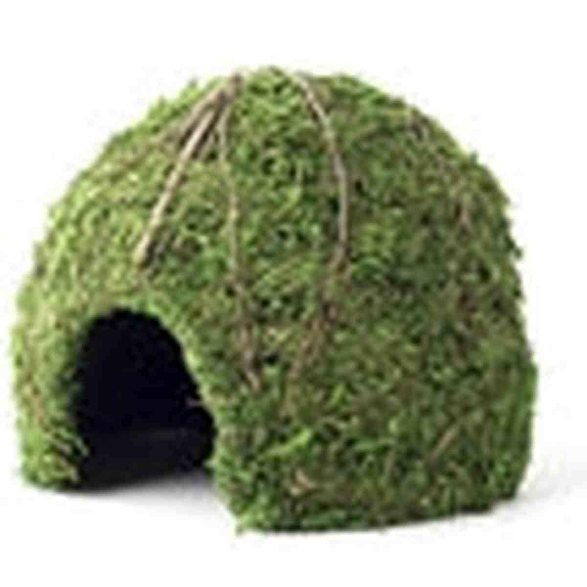 Galapagos Mossy Dome Green 9" Diameter Galapagos