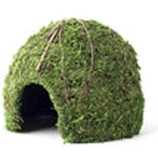 Galapagos Mossy Dome Green 9" Diameter Galapagos
