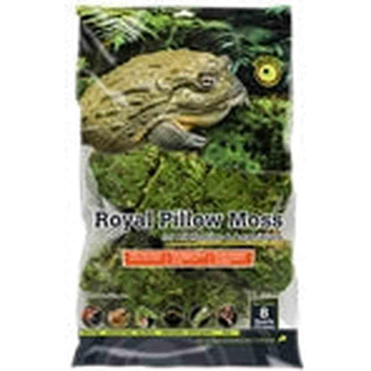 Galapagos Royal Pillow Moss 8qt Galapagos
