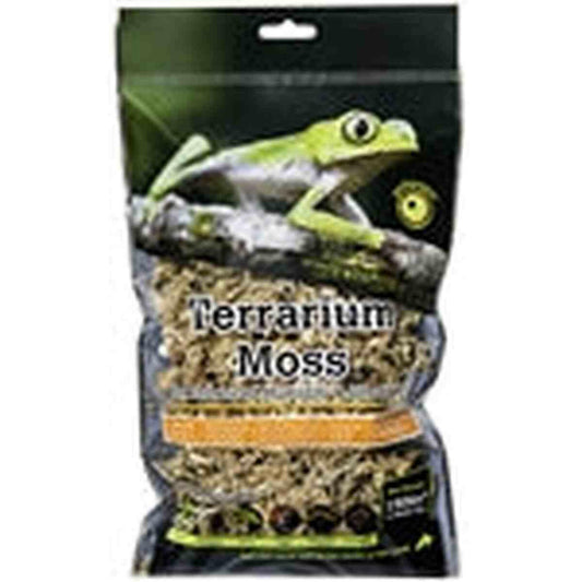 Galapagos Sphagnum Moss Blonde 150 in Galapagos