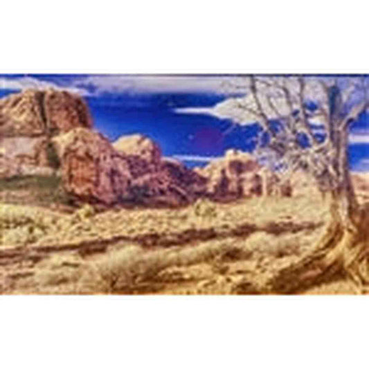 Galapagos Terrarium Clings Desert 15"x36" Galapagos