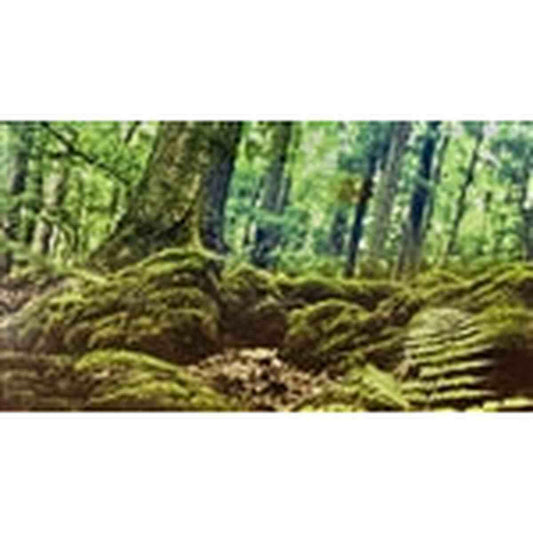 Galapagos Terrarium Clings Forest 15"x36" Galapagos