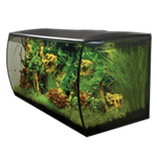 Hagen Fluval FLEX 32.5 Gallon - Black Hagen