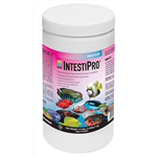 Hikari IntestiPro 2.2 lbs - Treats 2000 Gallons Hikari