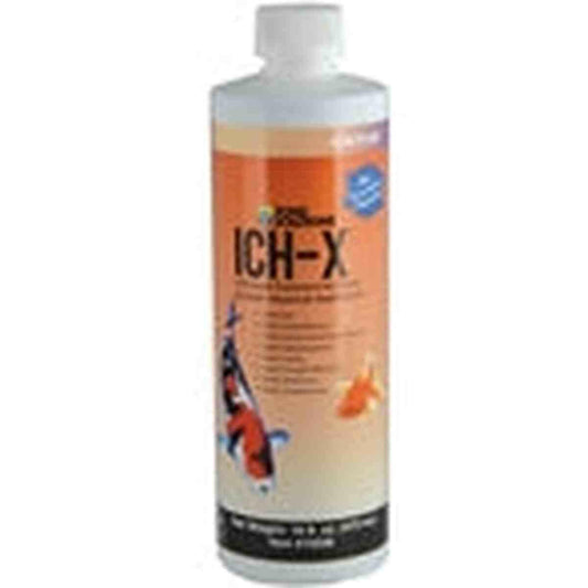 Hikari POND ICH-X Concentrated Water Treatment 16oz Hikari