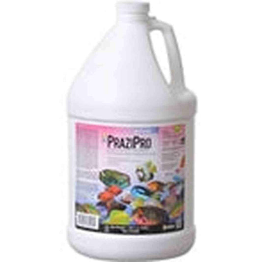 Hikari PraziPro Parasite Treatment 1 Gallon Hikari