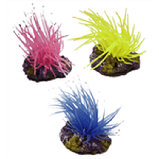 Hikari Resin Ornament - Anemone on Rock Resin Ornament 3 Color Pack Hikari