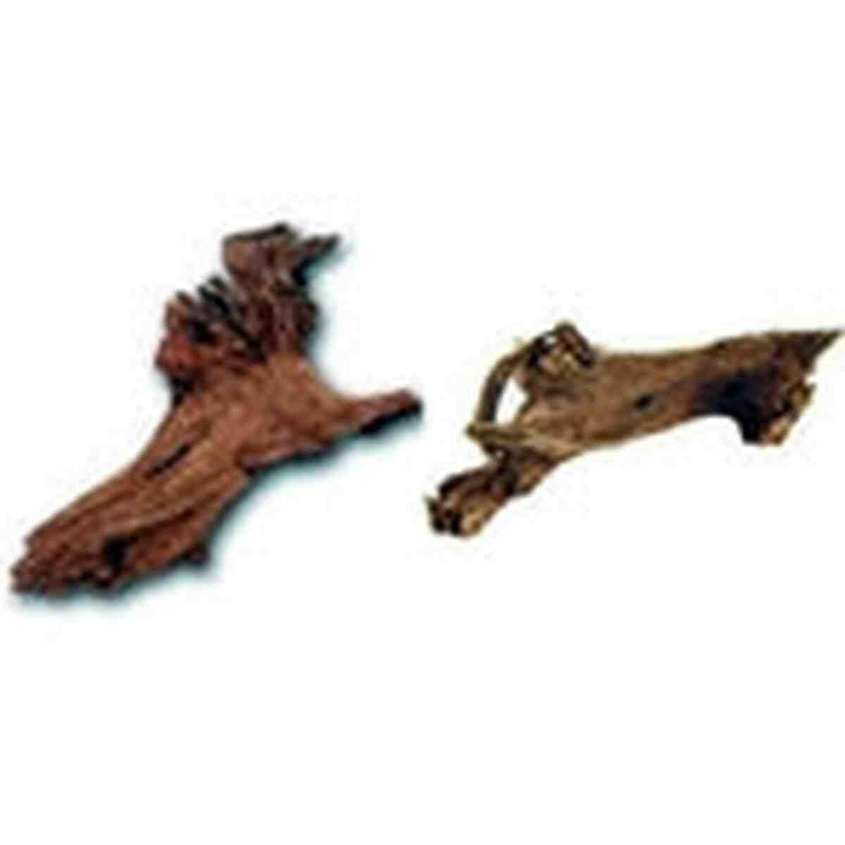 JBJ Malaysian Driftwood - Small 7" - 10" JBJ