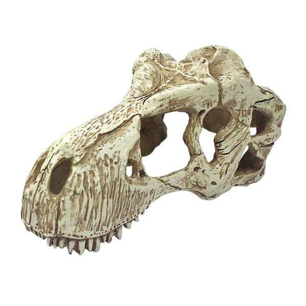 Komodo T-Rex Skull - XLarge 14.5"