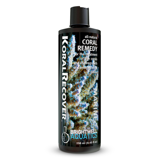 Brightwell Aquatics Koral Recover