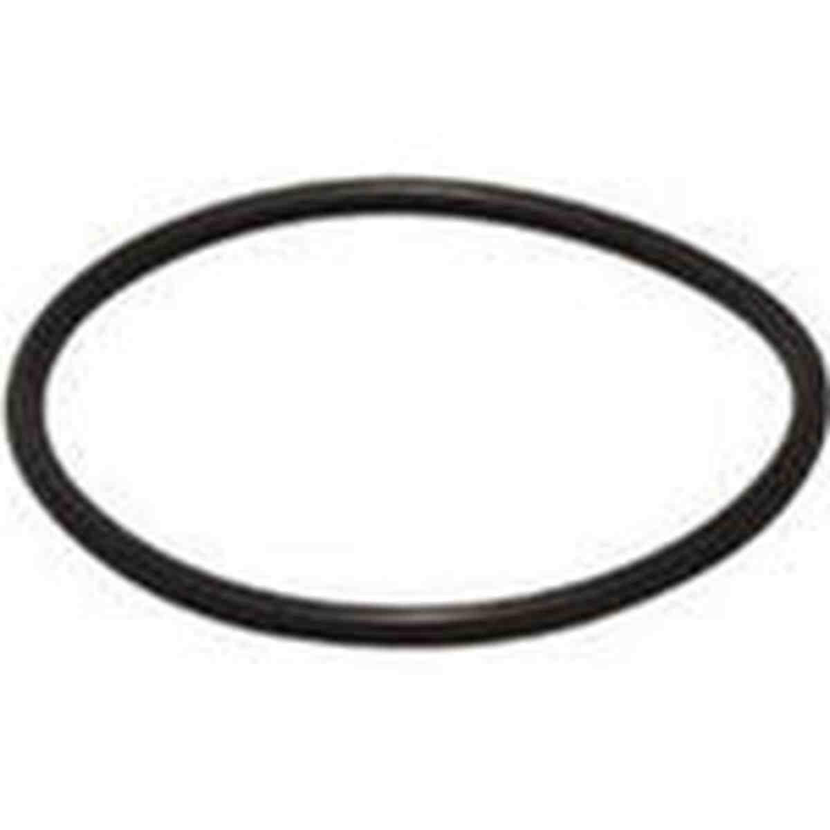 LifeGard Replacement UV Cap O-Ring for all QL Models Lifegard Aquatics