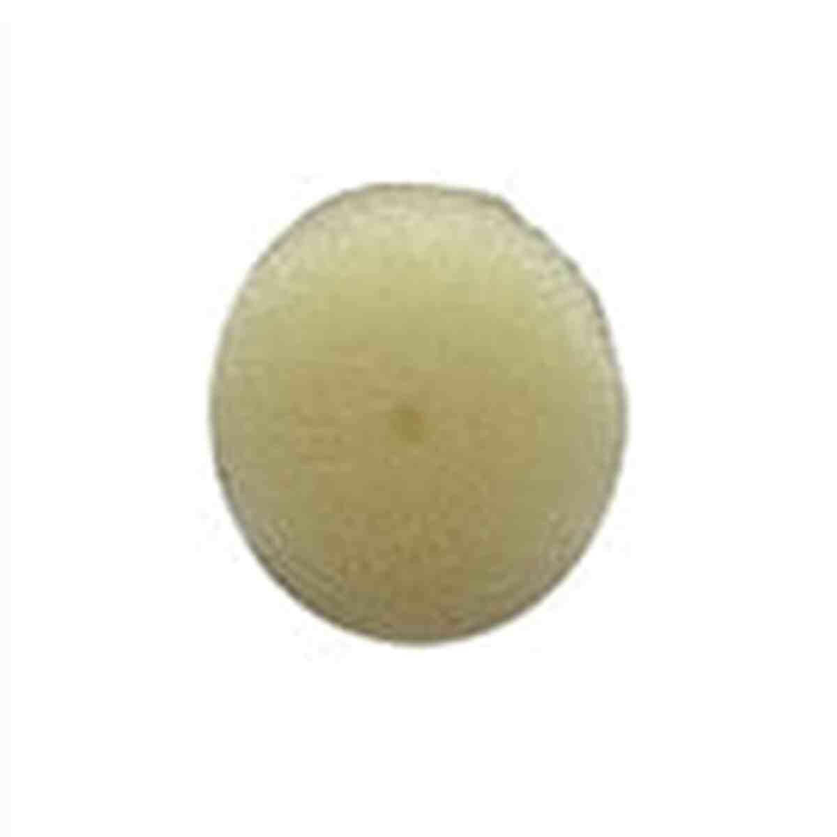 Lifegard Reactor Replacement White Sponges-Nano set of 2 Lifegard Aquatics