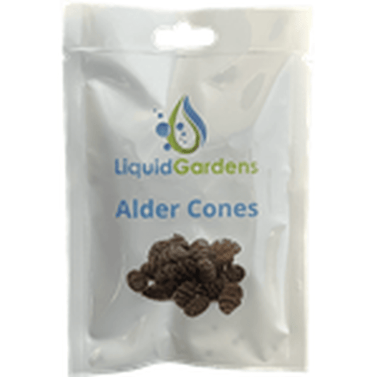 Liquid Gardens Alder Cones 25pk Liquid Gardens