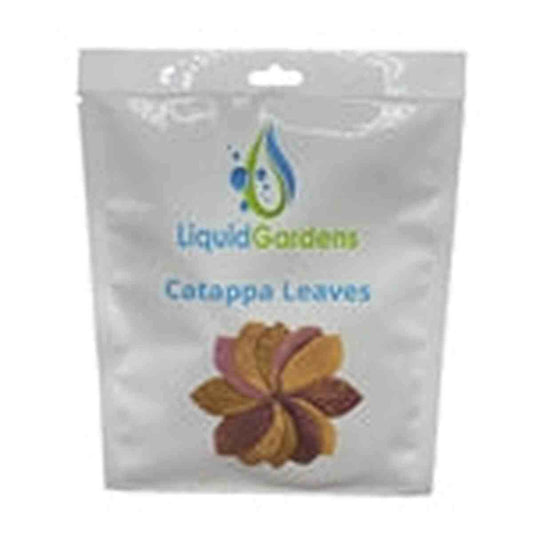Liquid Gardens Catappa Leaves 10pk Liquid Gardens