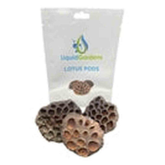 Liquid Gardens Lotus Pod 3 pk Liquid Gardens
