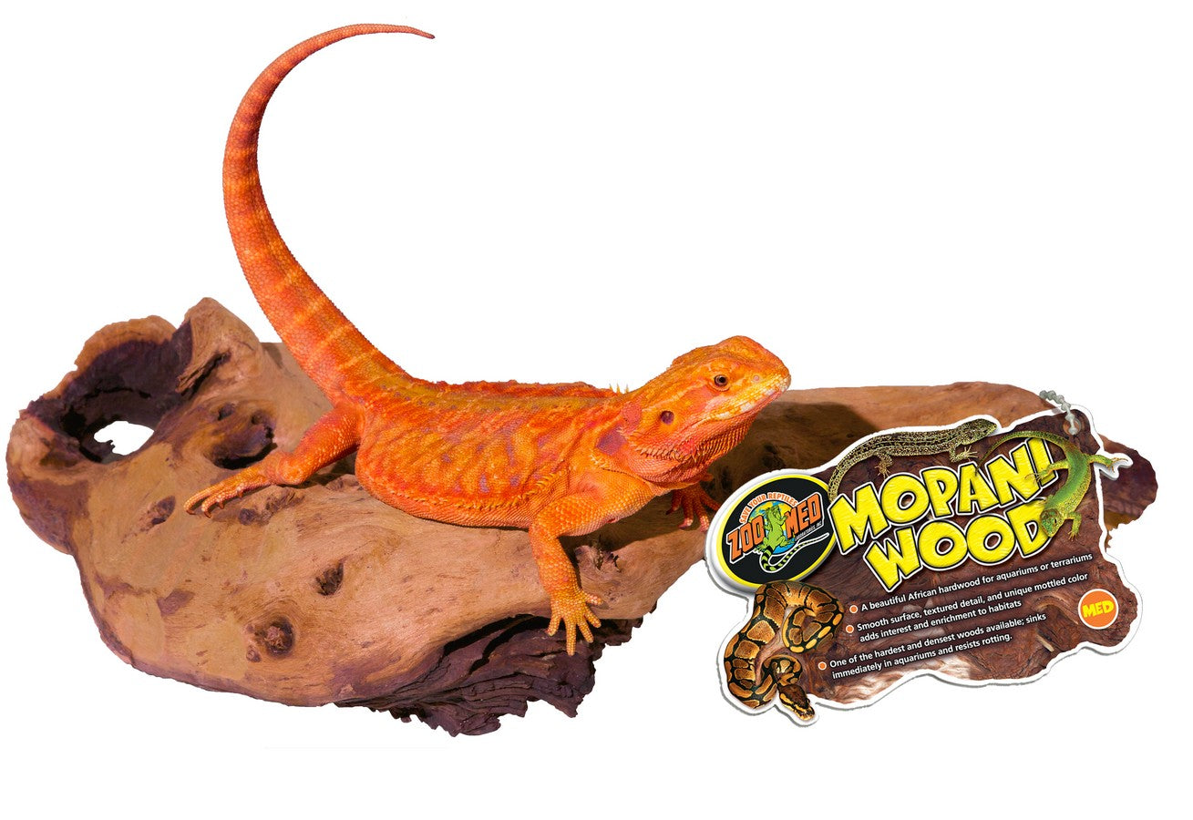 Zoo Med Mopani Wood – Terrarium