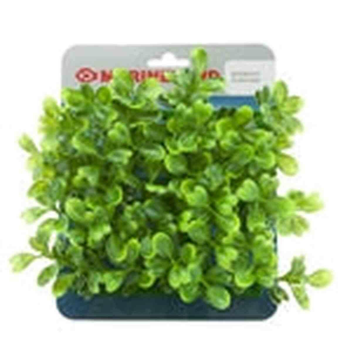Marineland Plant Mat Boxwood Marineland