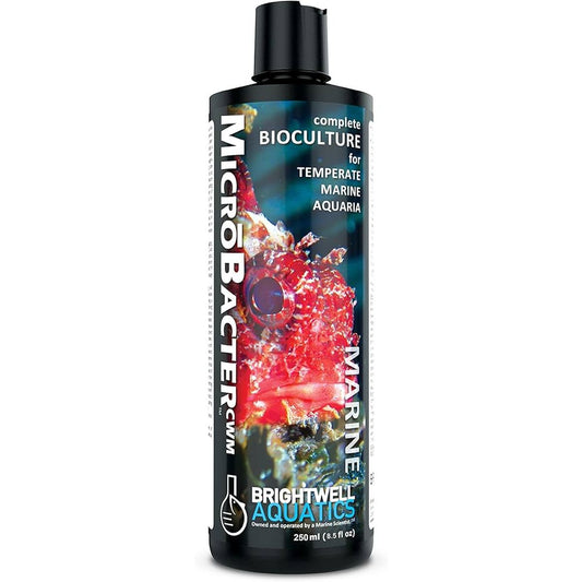 MicroBacter CWM – Complete Bioculture for Temperate Marine Aquariums Brightwell Aquatics