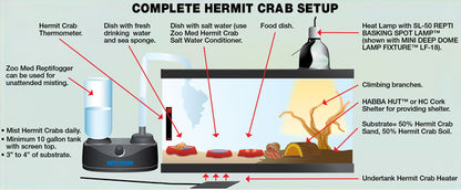 Zoo Med 10 Gallon ReptiHabitat™ Hermit Crab Kit