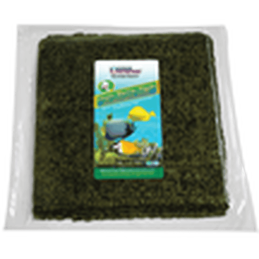 Ocean Nutrition Garlic Enriched Green Seaweed Bulk 50 Sheets Ocean Nutrition