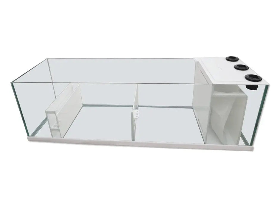 OceanVue PRO 60" Rimless Glass Sump OceanVue