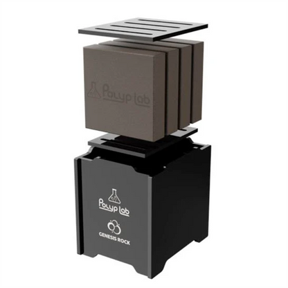 PolypLab Genesis Rock – Power Pack Rack with 4-Pack Genesis Rock PolypLab