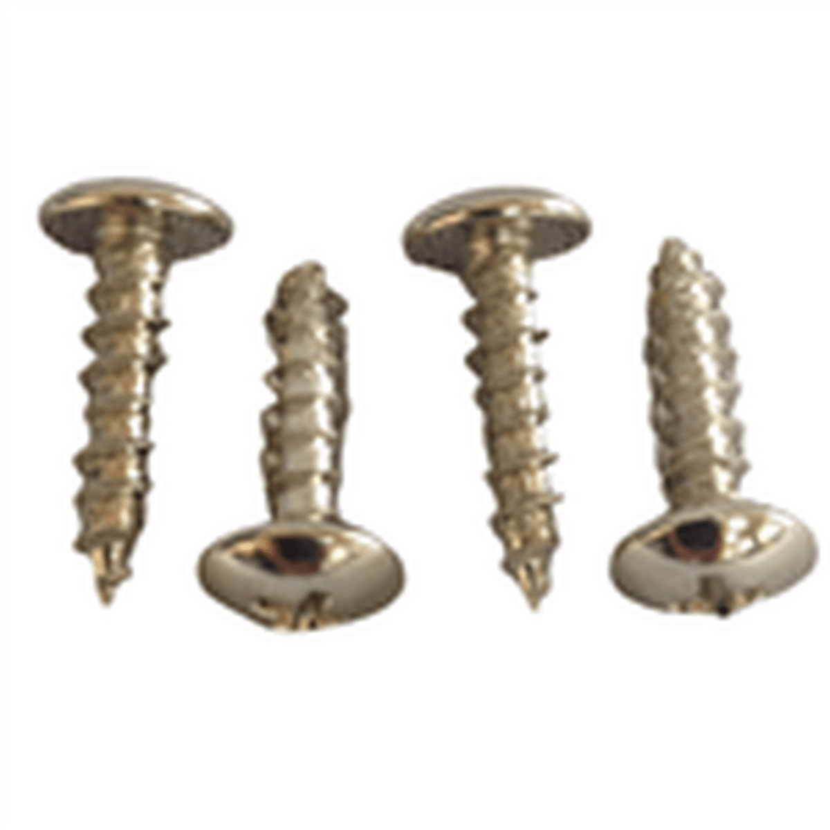 RO Housing to Bracket SCREW 3/16" x 3/4" Phillips Head 4PK ReefH2O
