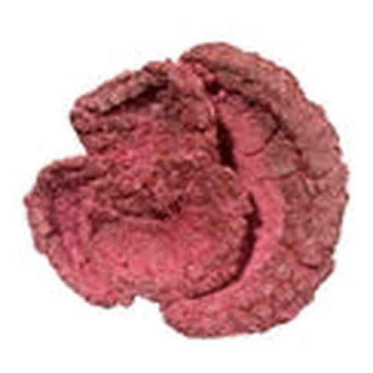 Real Reef Rock Box of Cup Corals Rock Assorted Box 10 PCS Real Reef