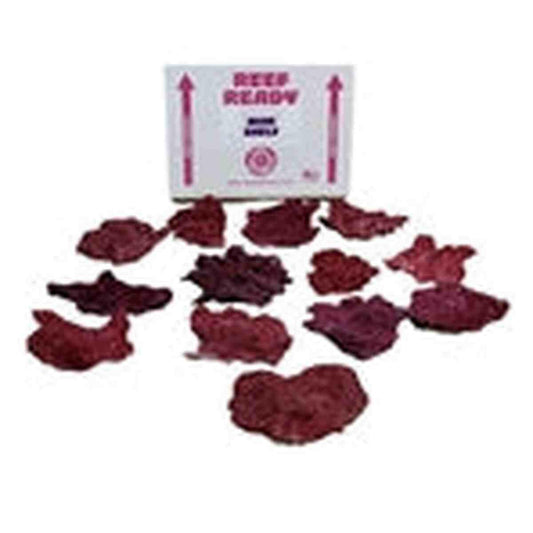 Real Reef Rock Mini Shelf 12-14 PCS Real Reef
