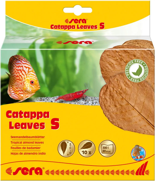 Sera Catappa Leaves Sera