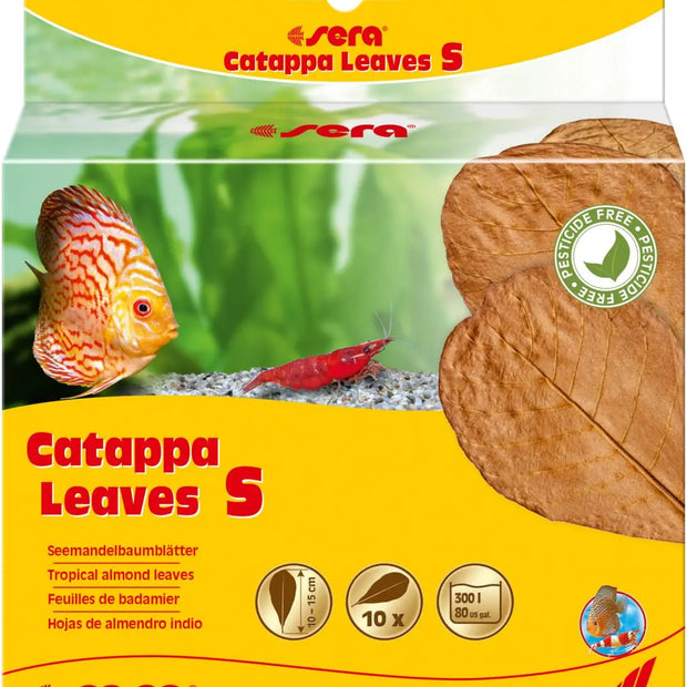 Sera Catappa Leaves Sera