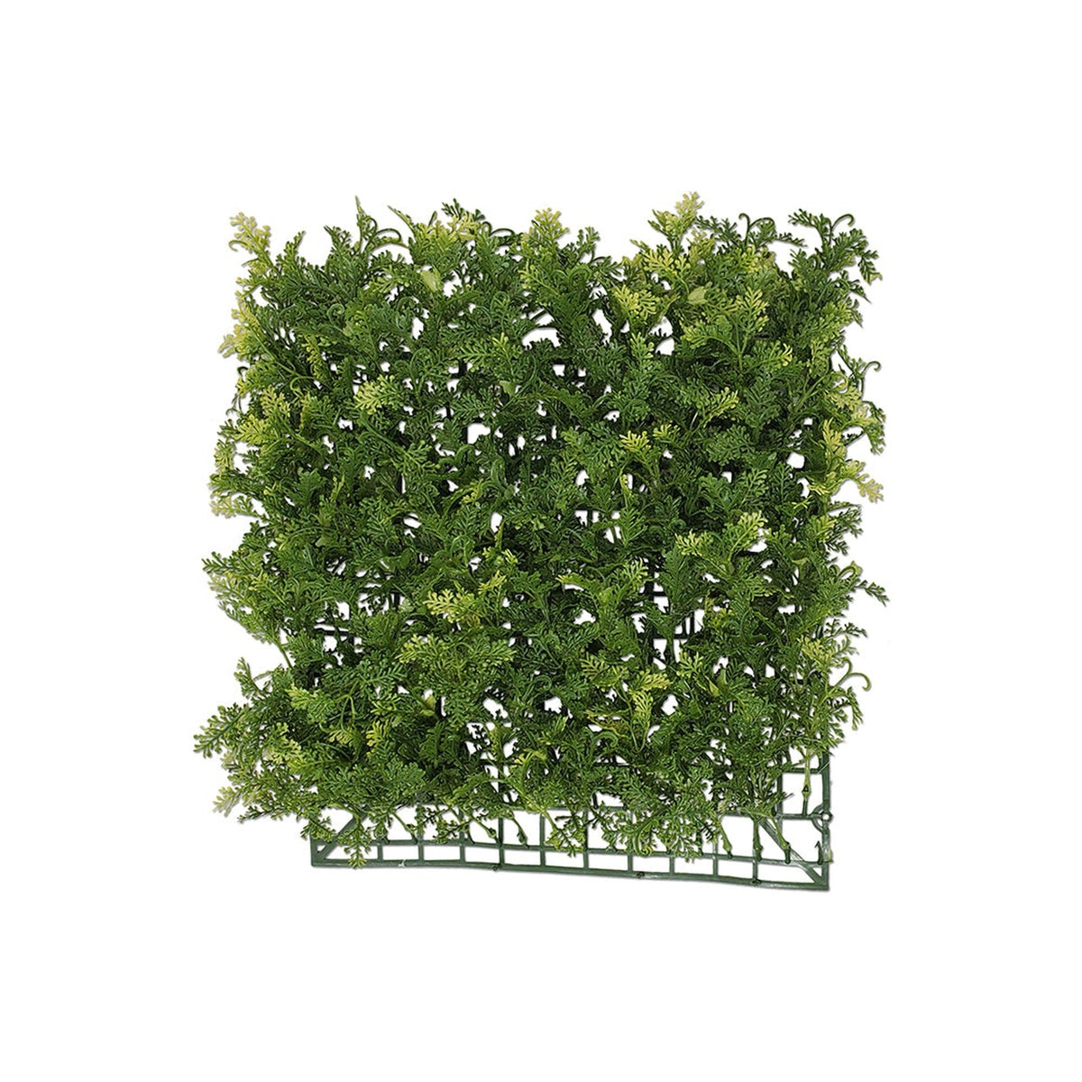 Tideline Naturescapes 11.5" Hanging Selaginella Mat