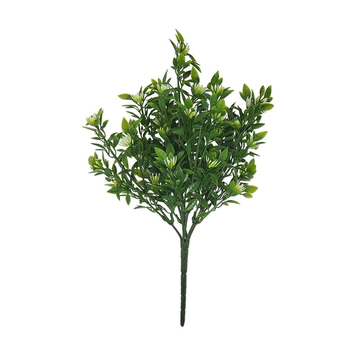 Tideline Naturescapes 13" Apricot Blossom / Tea Leaf Mix Bush - CR