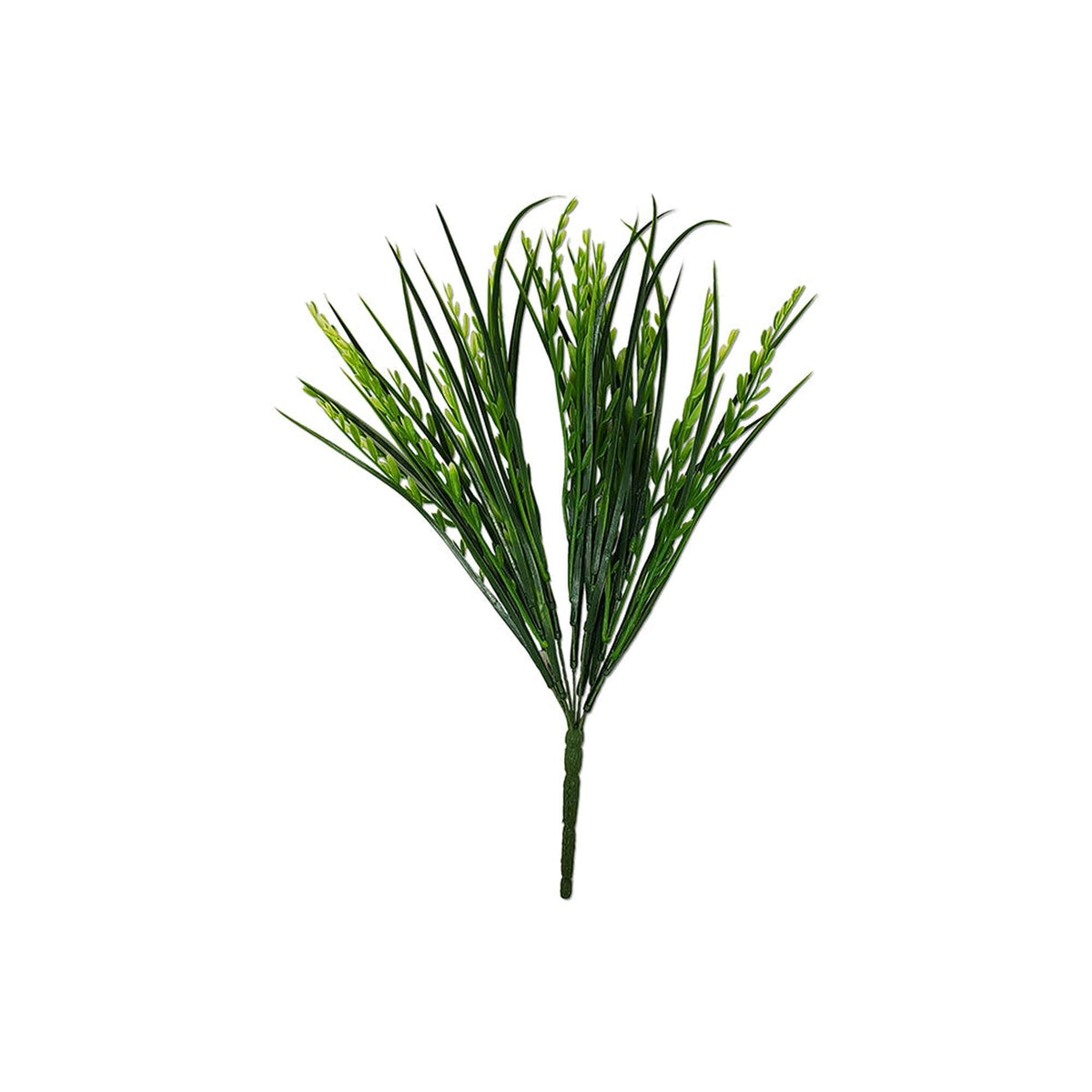 Tideline Naturescapes 15" Mountain Grass / Iva Axillaris Bush Green