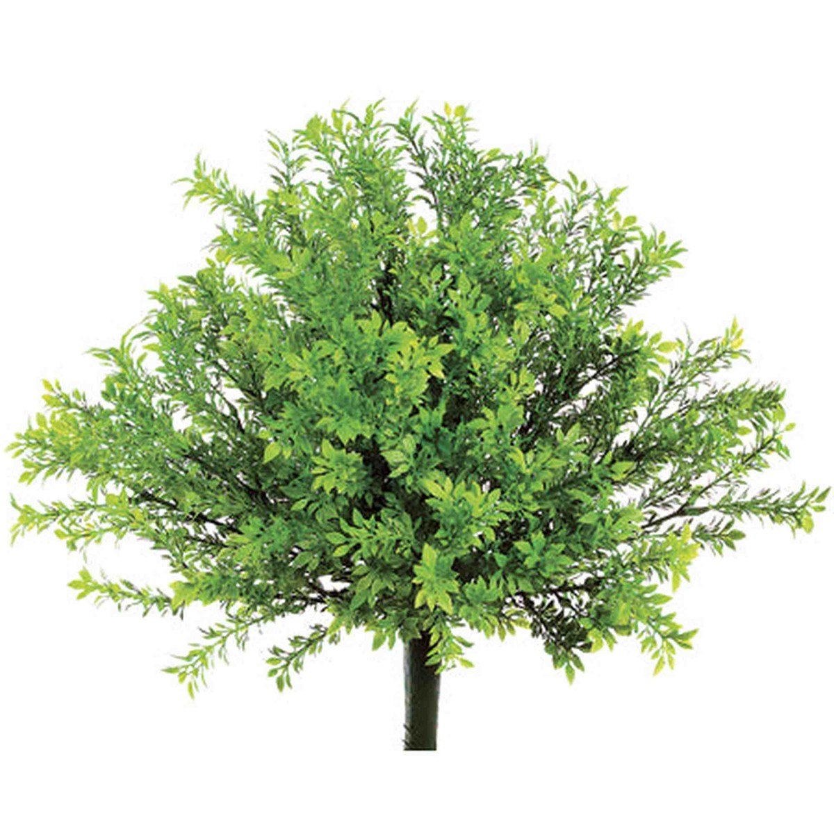 Tideline Naturescapes 15" Tea Leaf Bush Green