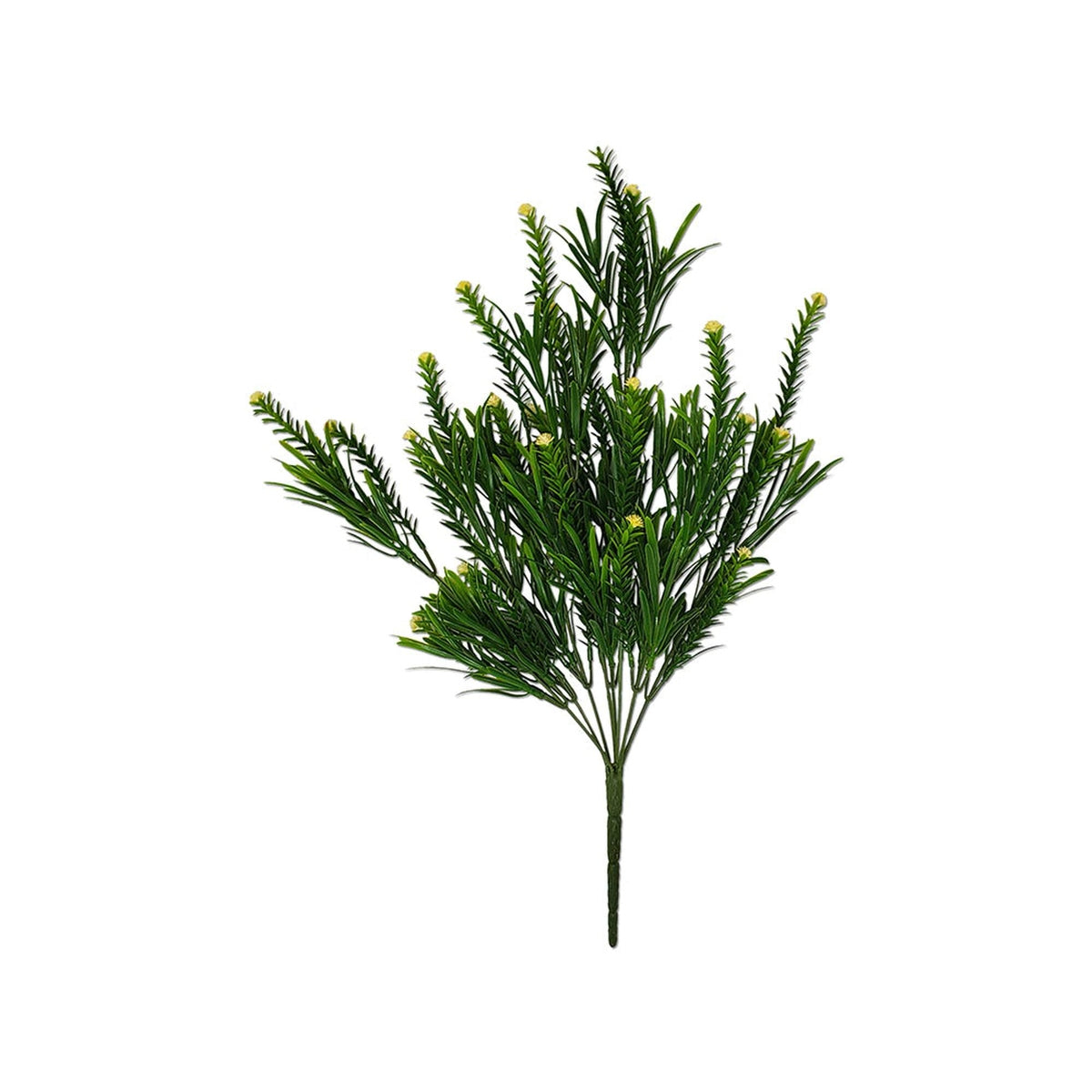 Tideline Naturescapes 17" Cactus Flowers / Podocarpus Leaf Bush C