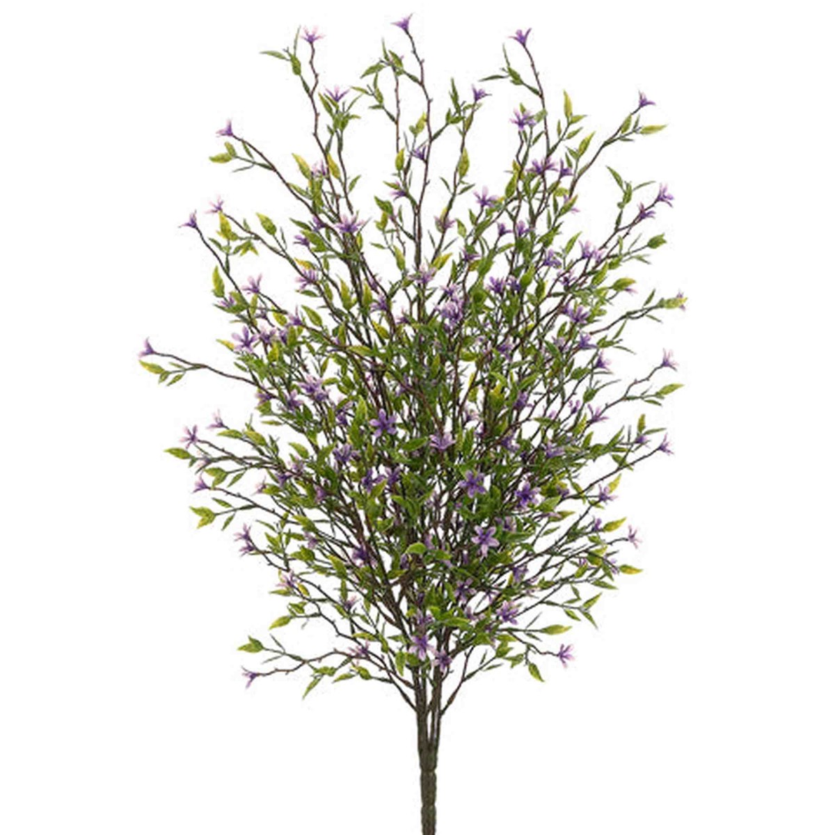 Tideline Naturescapes 20" Wild Starflower Bush Purple