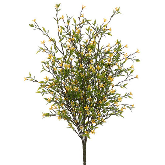 Tideline Naturescapes 20" Wild Starflower Bush Yellow