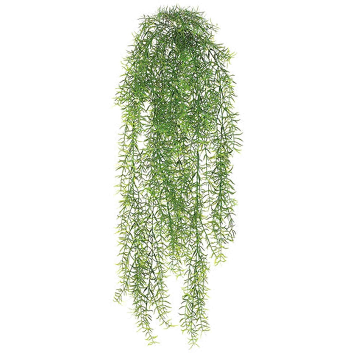 Tideline Naturescapes 30" Sprengeri Hanging Bush Green