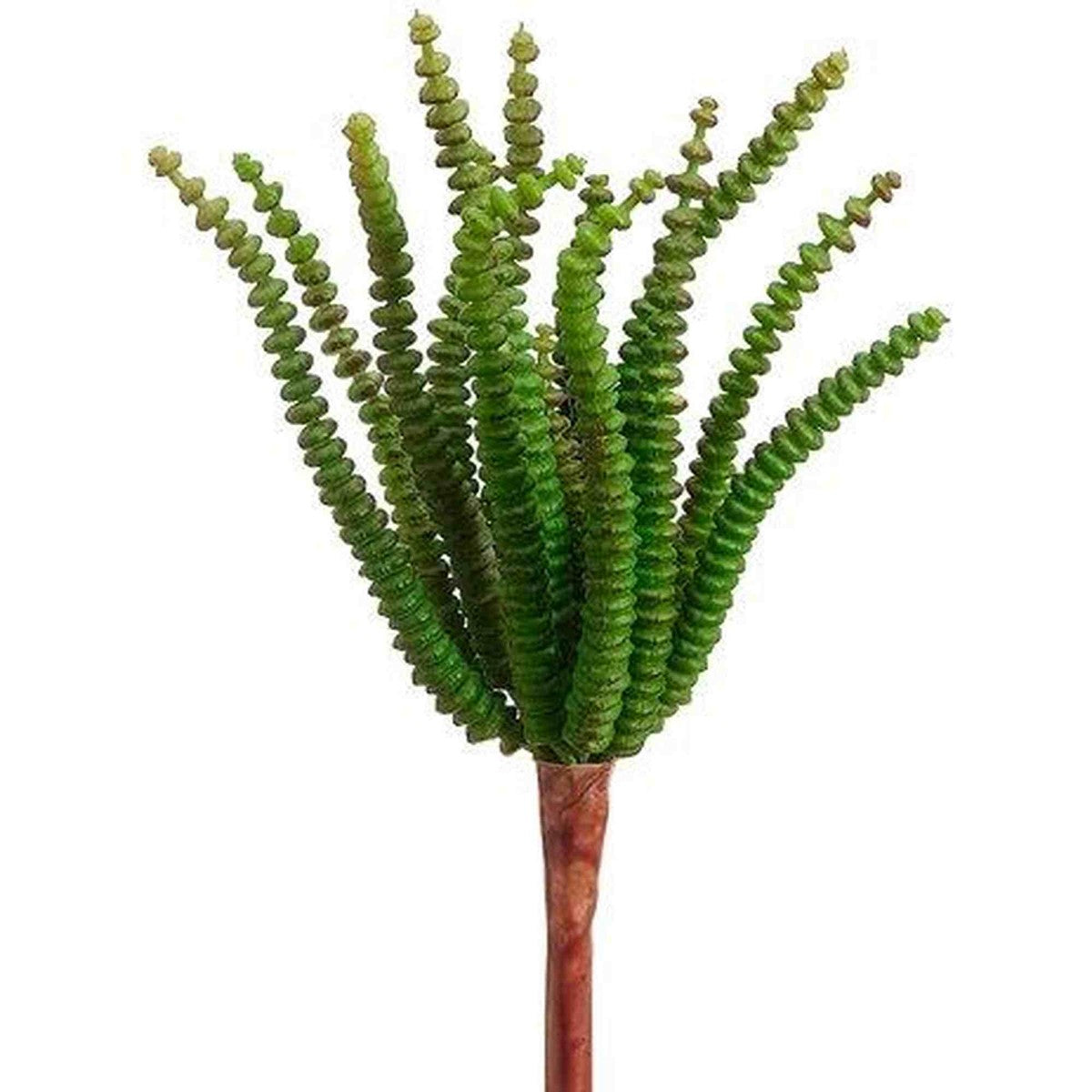 Tideline Naturescapes 7.4" Worm Succulent Pick Green