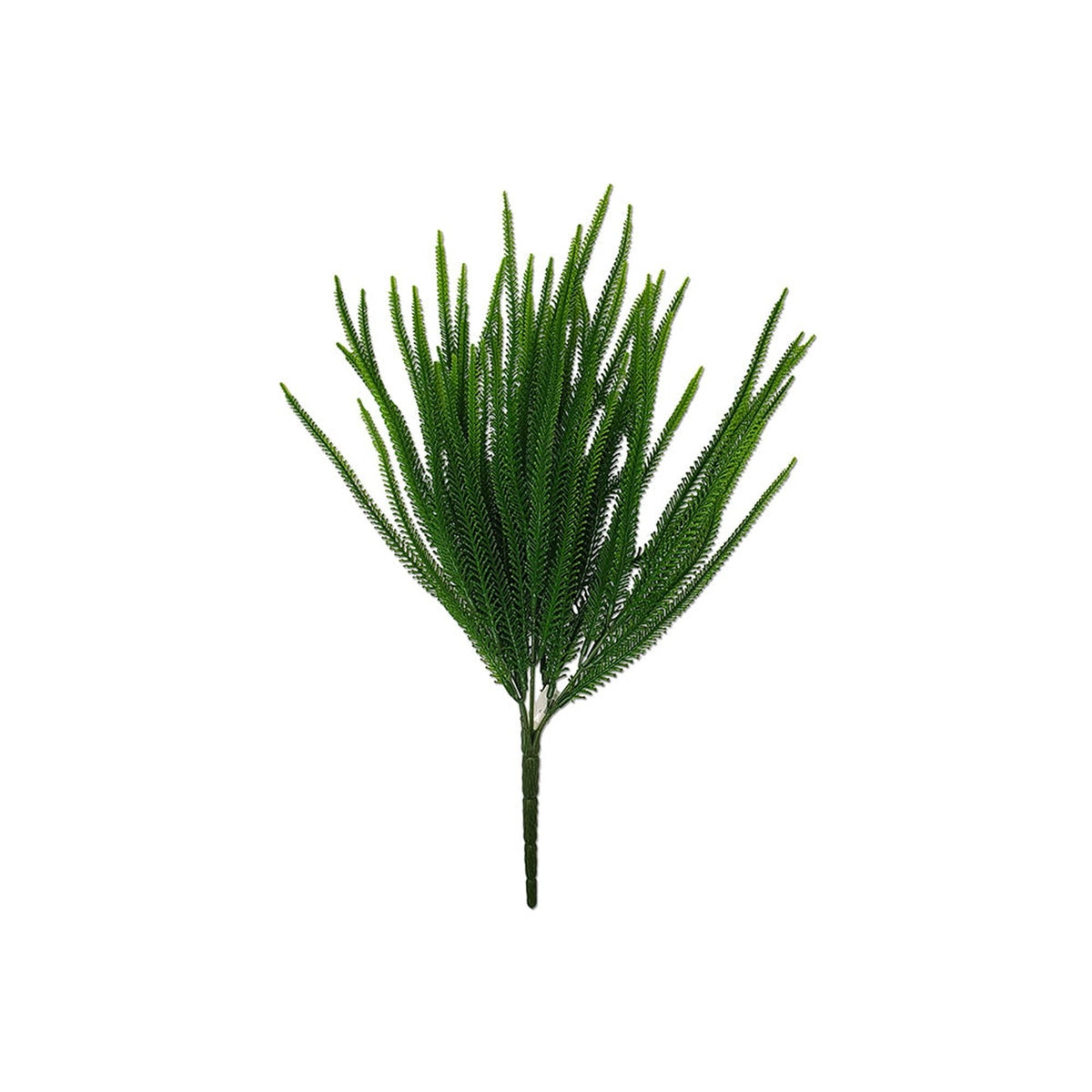 Tideline Naturescapes 7.5" Millet Grass Bush Green