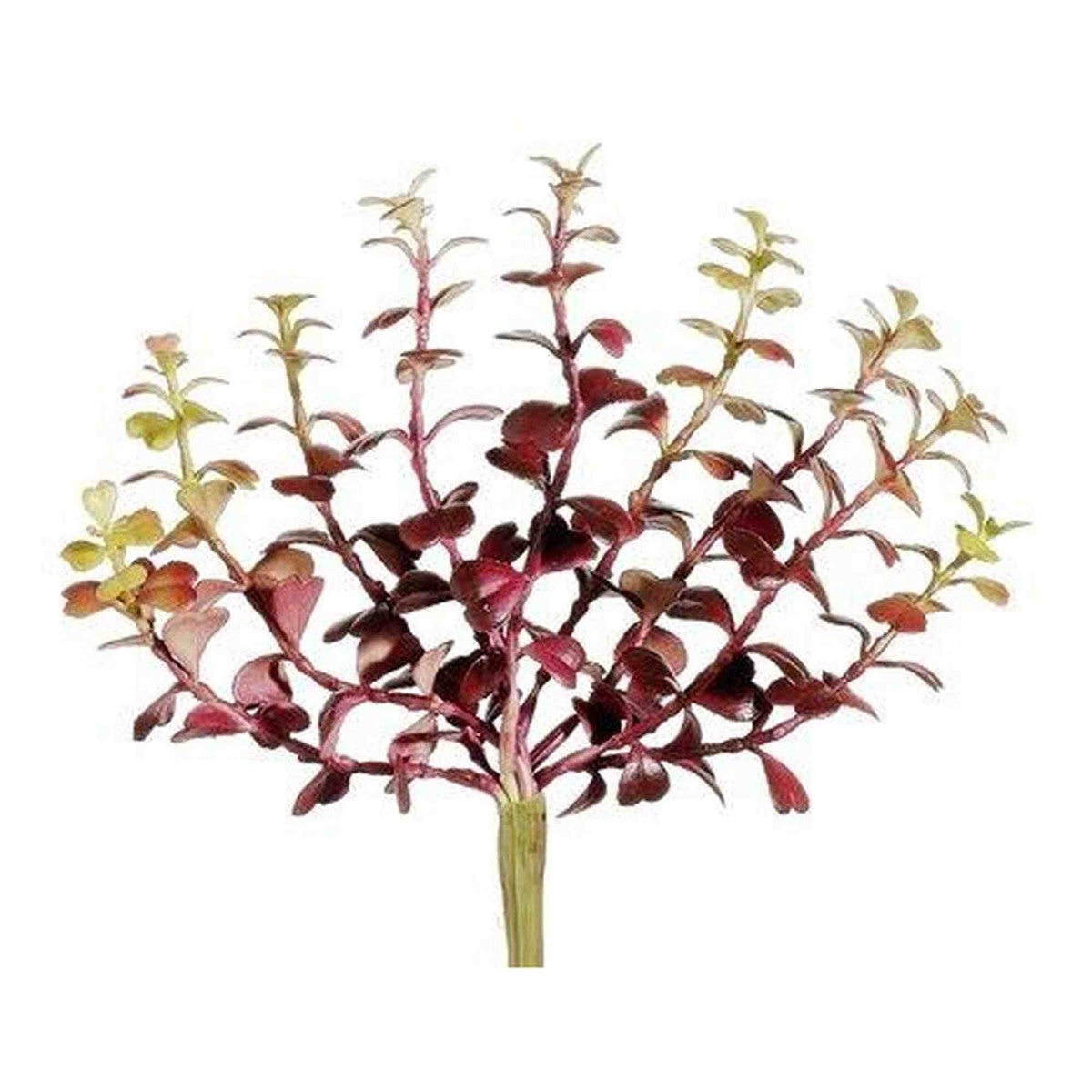 Tideline Naturescapes 8" Jade Plant Pick Burgundy Green