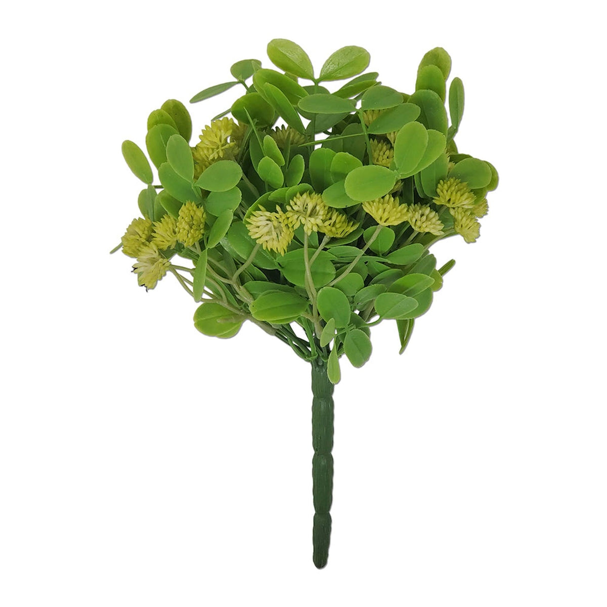 Tideline Naturescapes 9" Peanut Leaf Bush GR