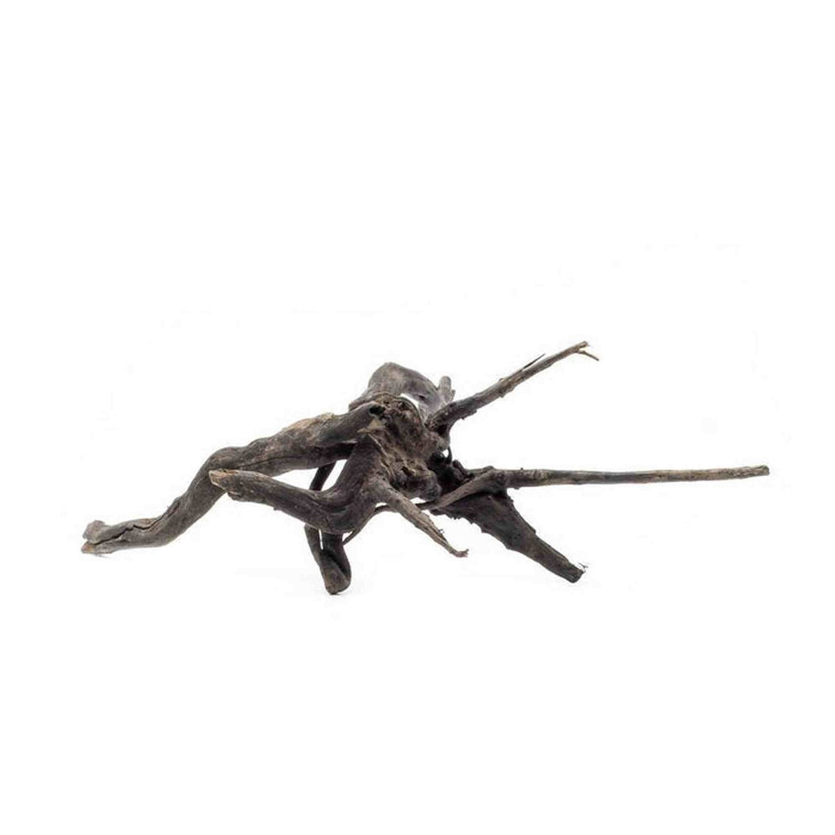 Tideline Naturescapes Black Spider Wood Tideline