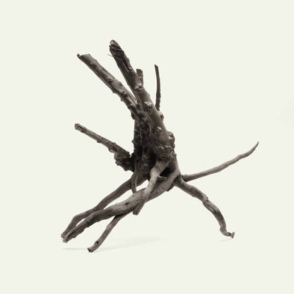 Tideline Naturescapes Black Spider Wood Tideline