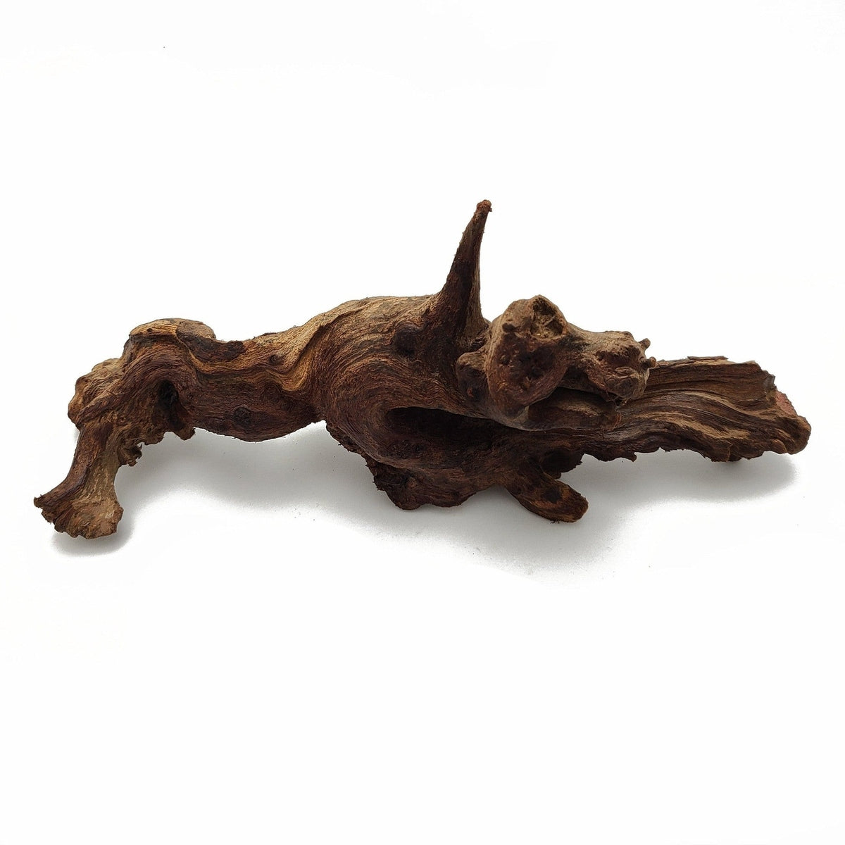 Tideline Naturescapes Driftwood Tideline