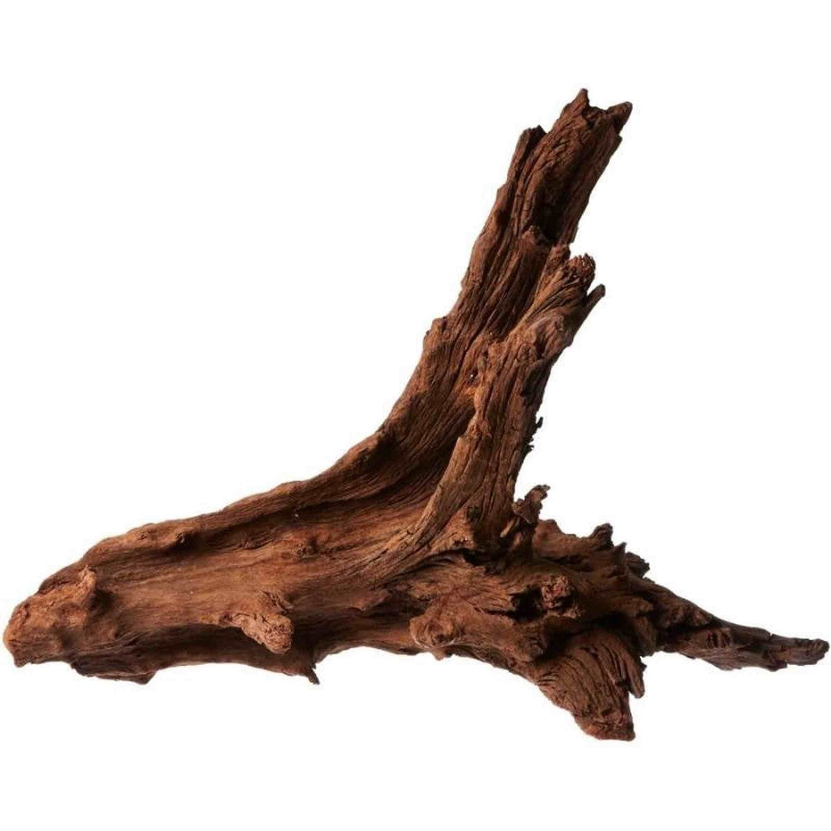 Tideline Naturescapes Driftwood Tideline