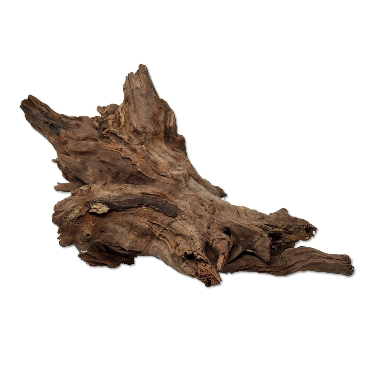 Tideline Naturescapes Driftwood Tideline
