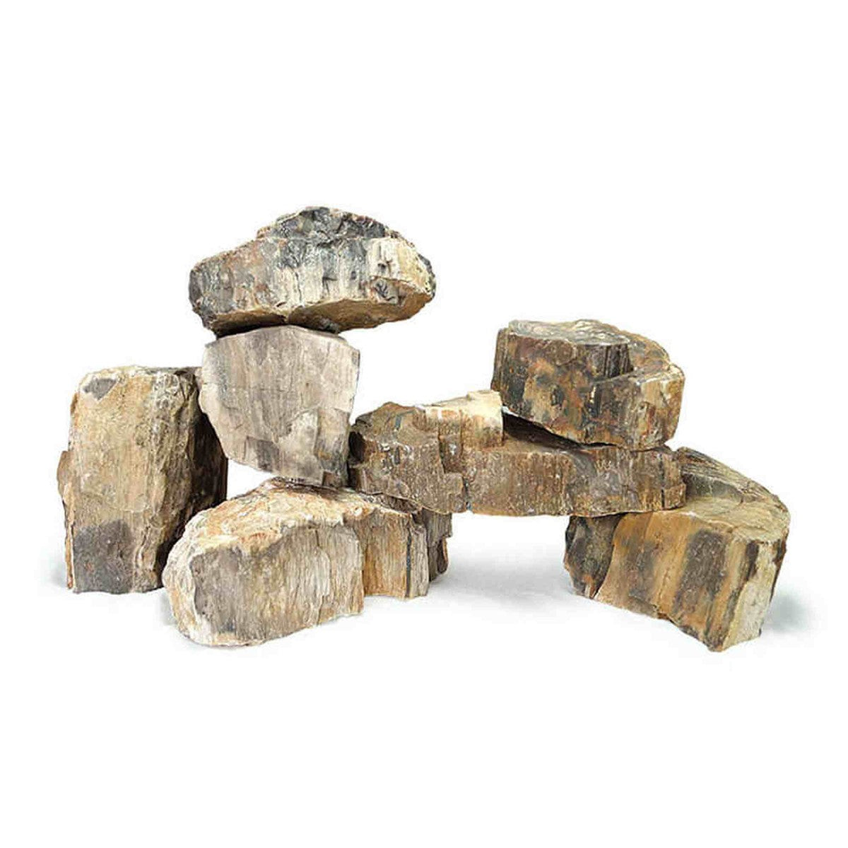 Tideline Naturescapes Wooden Fossil Stone Petrified Wood Stone