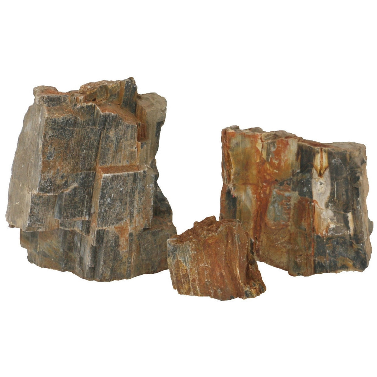 Tideline Naturescapes Wooden Fossil Stone Petrified Wood Stone